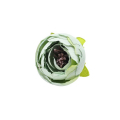 Umelé hlavy kvetov - vencovka Iskerník (Ranunculus)