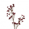 Konár jesenné kvety bordové 24KL583 