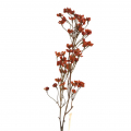 Konár jesenné kvety oranžové 24KL585