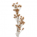 Konár jesenné kvety hnedo-oranžové 24KL587 
