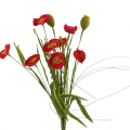Umelý konár mak červený 53 cm AGS409,AGS401 