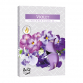 Vonné čajové sviečky (bal.6) P15-131