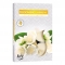 Sv.Cajova aromatická (bal.6) 11gr/4hod P15-169 Blooming jasmine