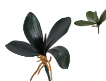 Umelý list orchidey s koreňom G-020