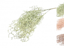 Umelá rastlina Tillandsia x 5