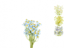 Kytička harmanček x 6 CV31451-MIX