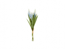Kytička svetlo modrá modrica (Muscari) x 4