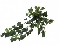 Umelá ťahačka brečtan - B013 