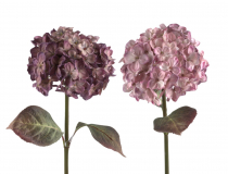 Umelá hortenzia na stopke 78CAN8122 
