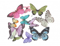 Dekoračný motýľ plastový (1bal.) X167 