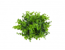 Umelý malý veniec krušpán CV33014