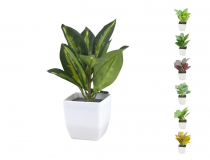 Umelá Calathea v kvetináči CV32764-MIX 