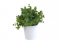 Umelý eukalyptus v kvetináči CV32776 