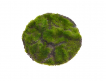 Umelá machová podložka 20 cm 271CAN90120