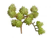 Umelý sukulent SEDUM 271CAND-4090-9-34 