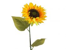 Rezaný kvet / konár slnečnica CV34928 