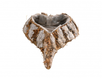 Obal srdce s kôrou FD036 