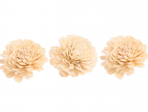 Sušina - kvet pivónia (1bal.) 10 cm 10757 