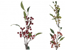 Konár bobule CV36612-MIX 