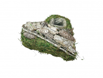 Obal srdce zelené BH22S094-26 