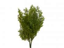 Umelý trs/ kytička ceder x 5 34 cm BV08002 