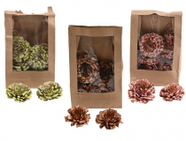 Dekoračná sušina – sušená ruža 8 cm (1bal.) 11697-MIX