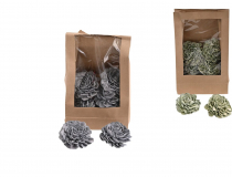 Dekoračná sušina – sušená ruža 8 cm (1bal.) 11650 -MIX