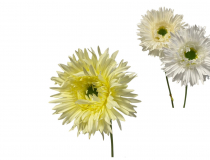 Umelá gerbera na stopke 42 cm KS131-11-MIX