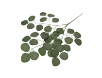 Umelá vetva eukalyptus CENA ZA KUS CV38779 