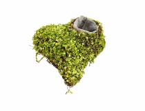 Prútený obal srdce s otvorom FD106 