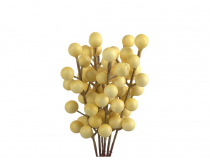 Doplnok žlté bobule zväzok ILY125 