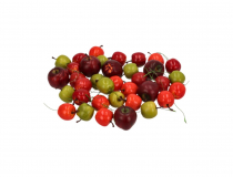 Dekoračné balenie -jabĺčko zápich mix HY-6699