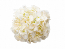 Umelé hlavy kvetov - vencovka krémová HORTENZIA A5440-1
