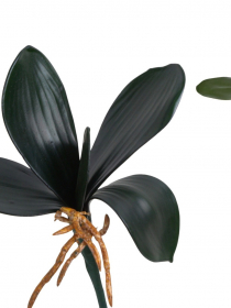 Umelý list orchidey s koreňom G-020