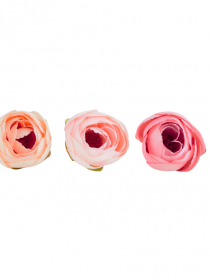 Umelé hlavy kvetov - vencovka Iskerník (Ranunculus)