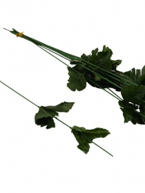 Stopky do chryzantémy