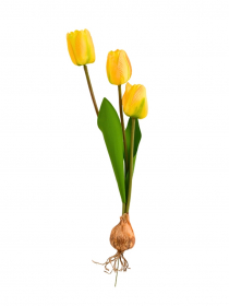 Umelý tulipán s cibuľkou