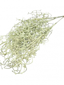 Umelá rastlina Tillandsia x 5