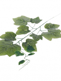 Vetva vinič poprášený zv./12