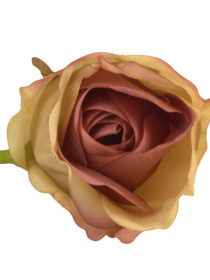 Umelé hlavy kvetov - vencovka ruža svetlo hnedá A7358-6