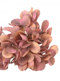 Umelé hlavy kvetov - vencovka HORTENZIA FG555 - MIX