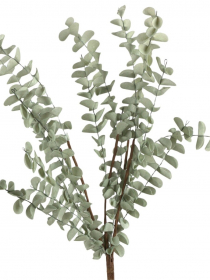 Konár penový eukalyptus zelený x 5 AMA691 