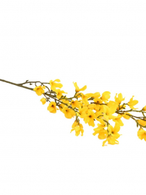 Konár zlatý dážď 93 cm CH123 