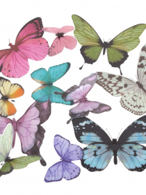 Dekoračný motýľ plastový (1bal.) X167 