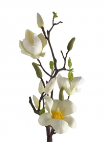 Umelý konár penová magnólia 24KW283