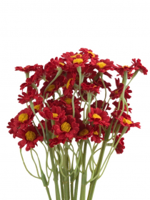 Umelá kytica Tanacetum ( Vratič) červená zväzok 23KL1263