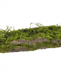 Dekorácia umelá kôra s machom 47 cm 263CAN20W29 