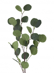 Konár eukalyptus 90cm KBG2471