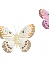 Dekoračný motýľ na magnet (1bal.) M000 