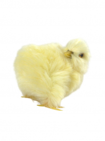 Veľkonočná dekorácia kuriatko FUR010 